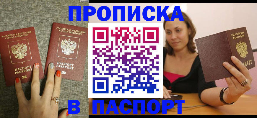 временная регистрация гарантия в Королёве